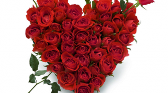 signification des fleurs