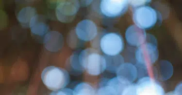 effet bokeh